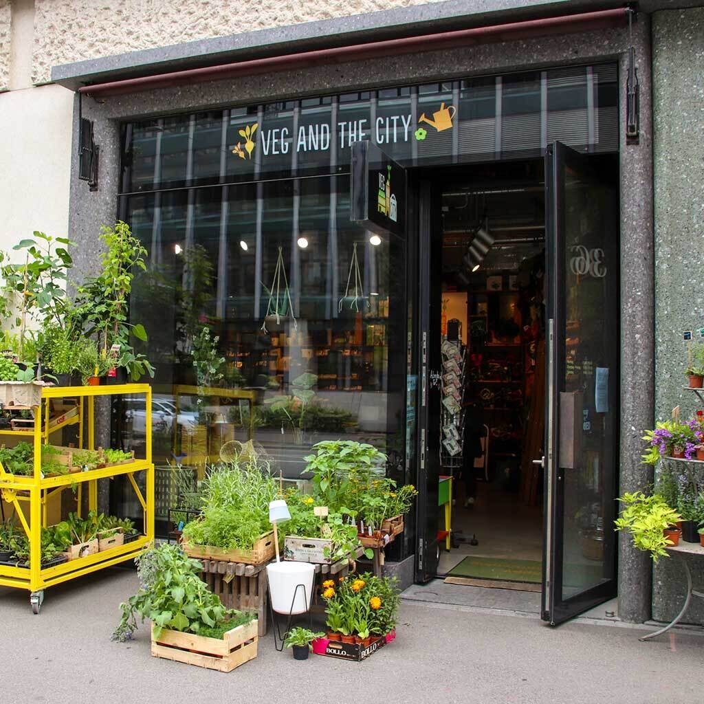 Store Zuerich 180612 2 website